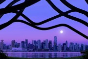 世界体能恢复公益课堂乡镇课程包第25版应用评估发布，世界体能比赛